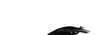 Recubrimiento izquierdo OEM 51713402957 para BMW X3 E83 y E83 LCI. Original BMW. - Image 2