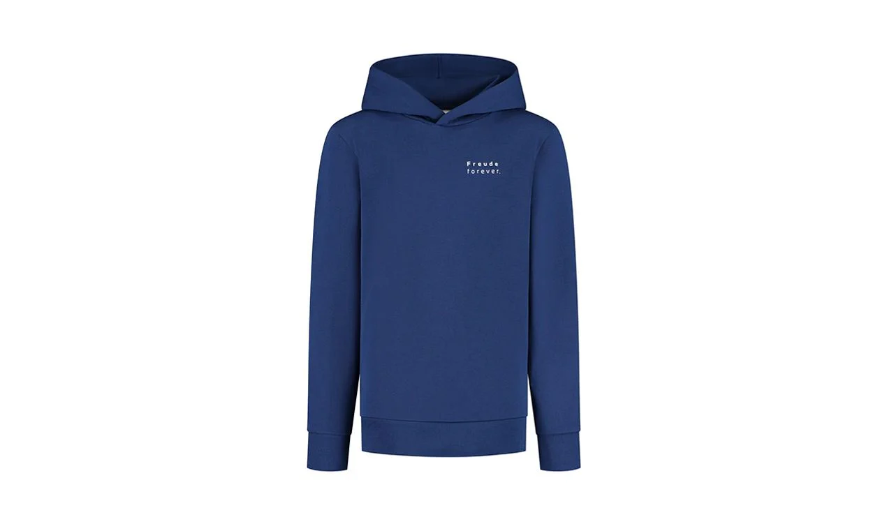 Sudadera con capucha para niños, azul, colección Lifestyle Primavera/Verano 2023. Válido para BMW. Original BMW.